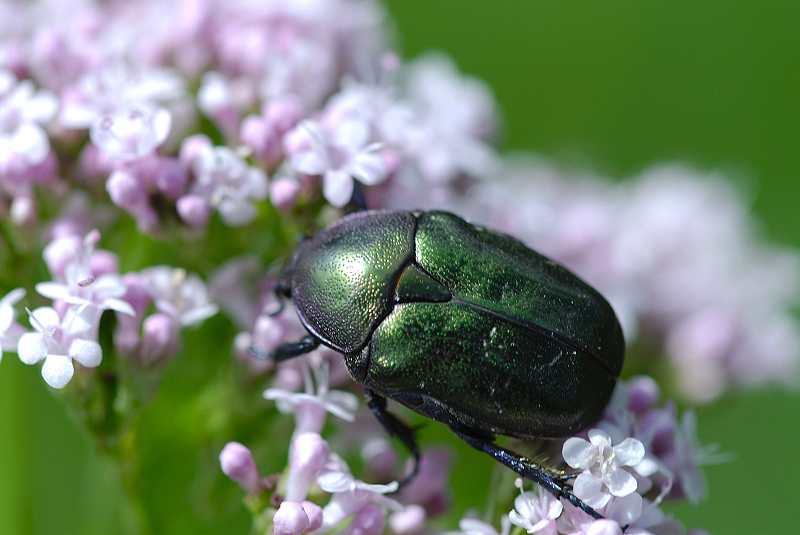 image0271