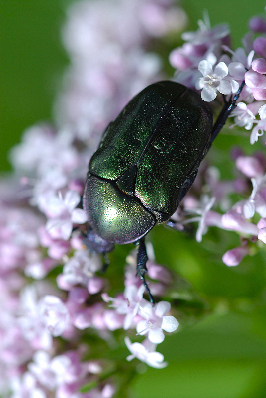 image0272