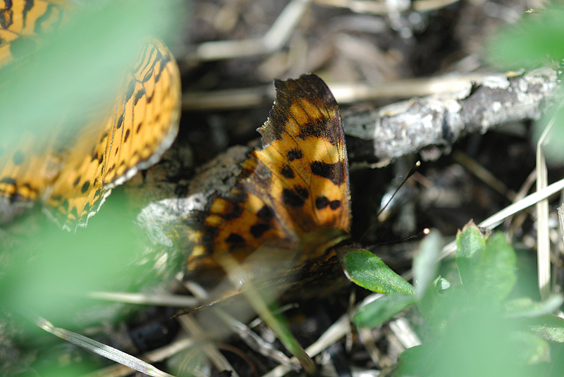 image0282