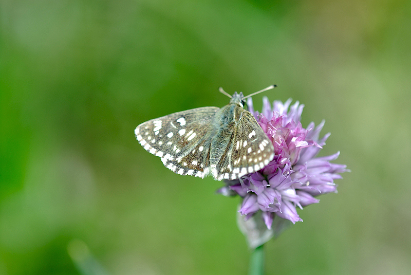 image0284