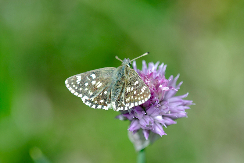 image0285