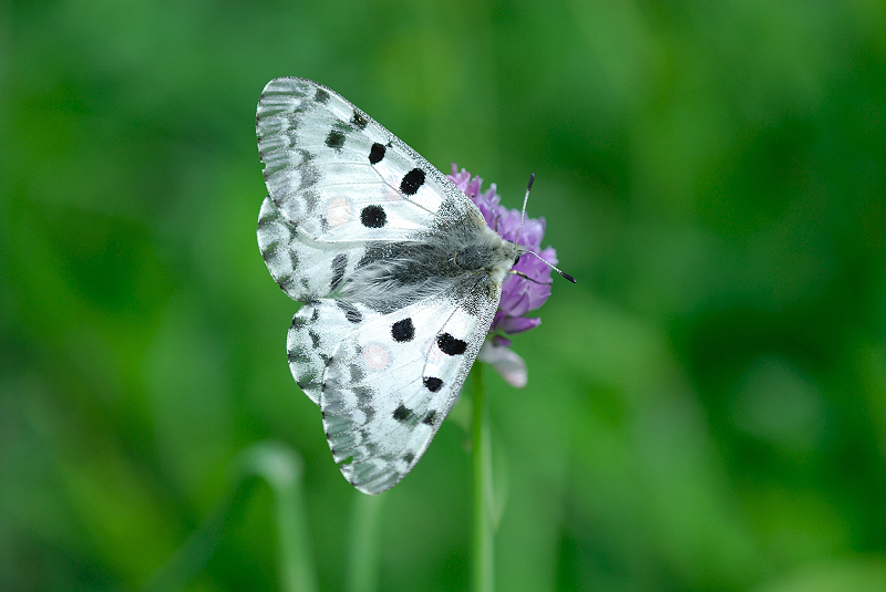 image0289