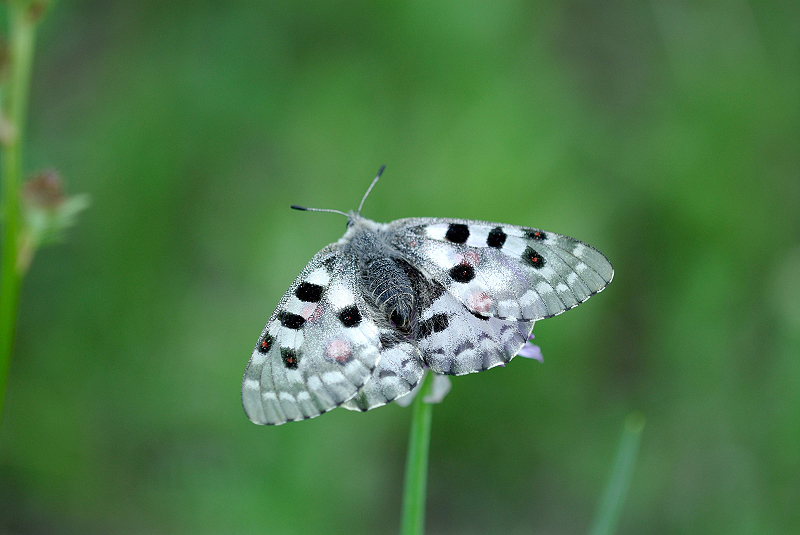 image0292