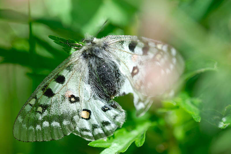 image0295