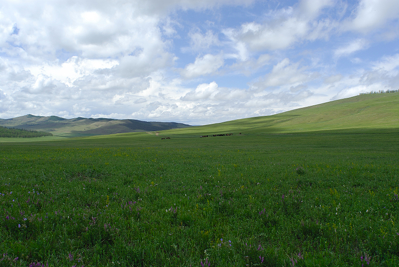 image0297
