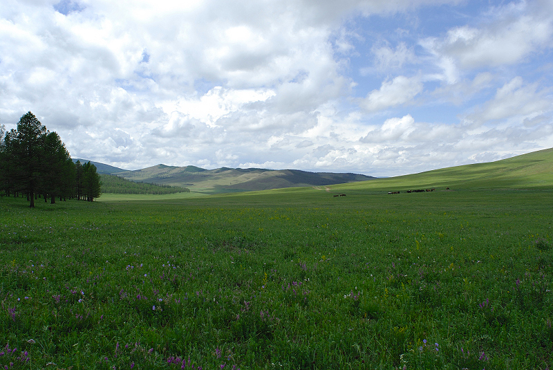 image0298