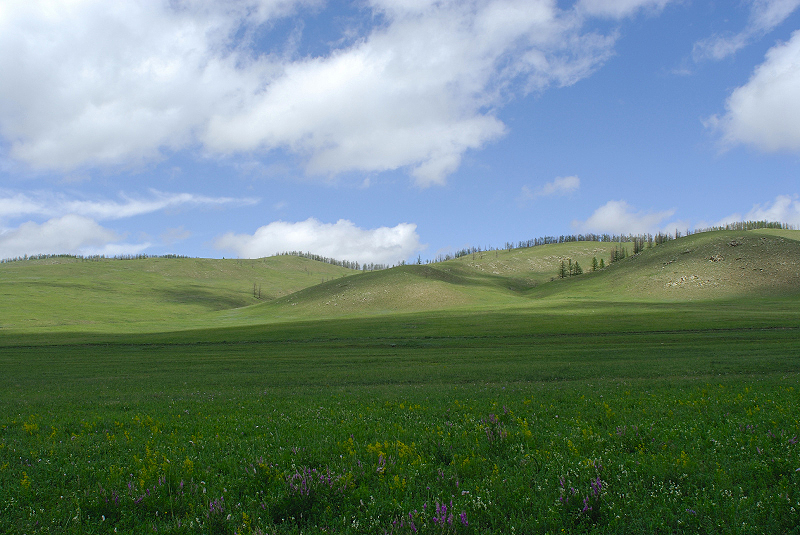 image0299