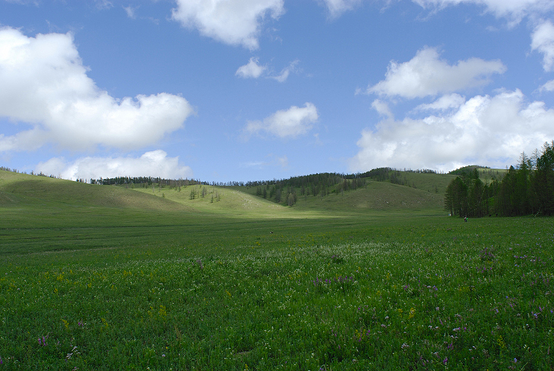 image0300