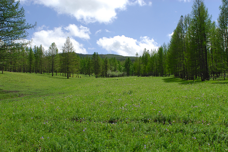 image0301
