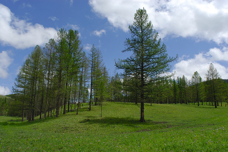 image0302