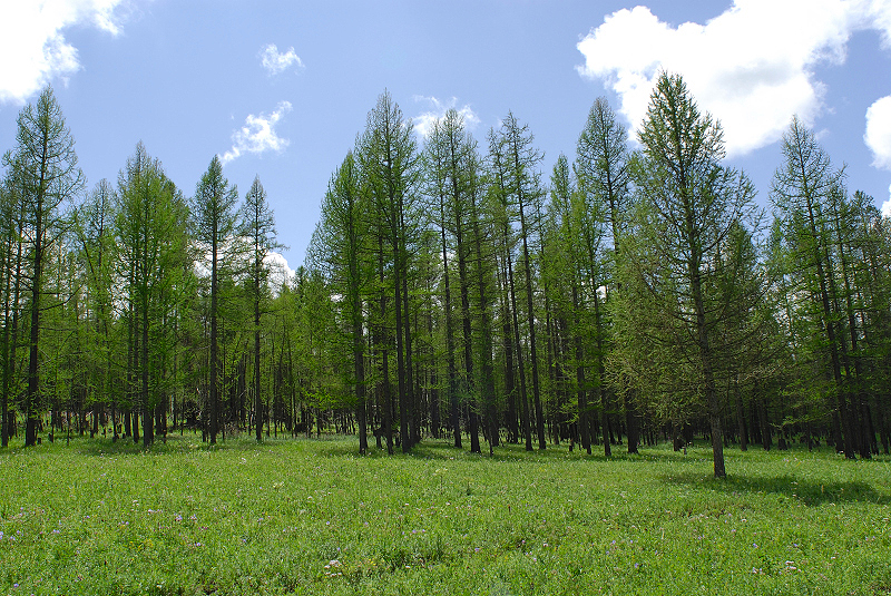 image0303