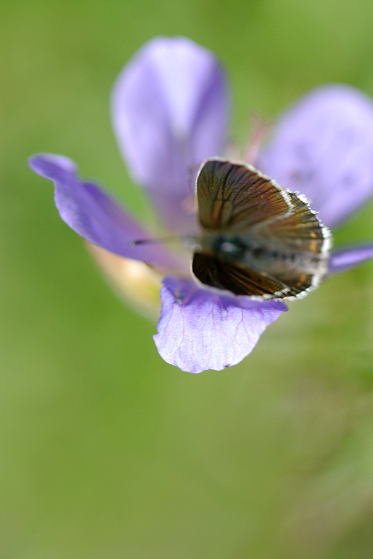 image0304
