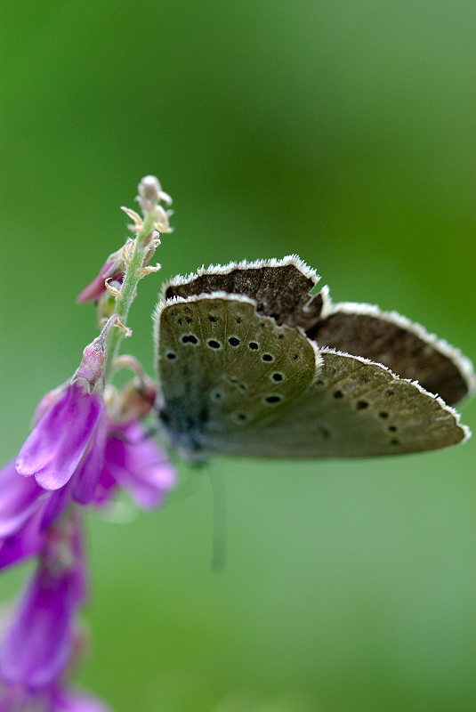 image0312