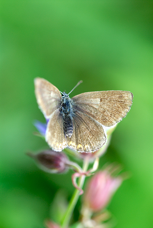 image0313