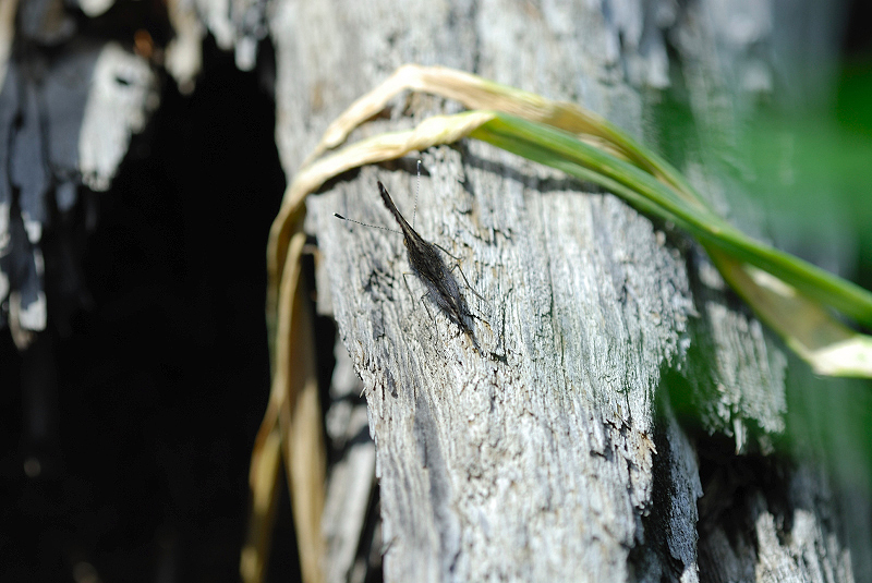 image0314