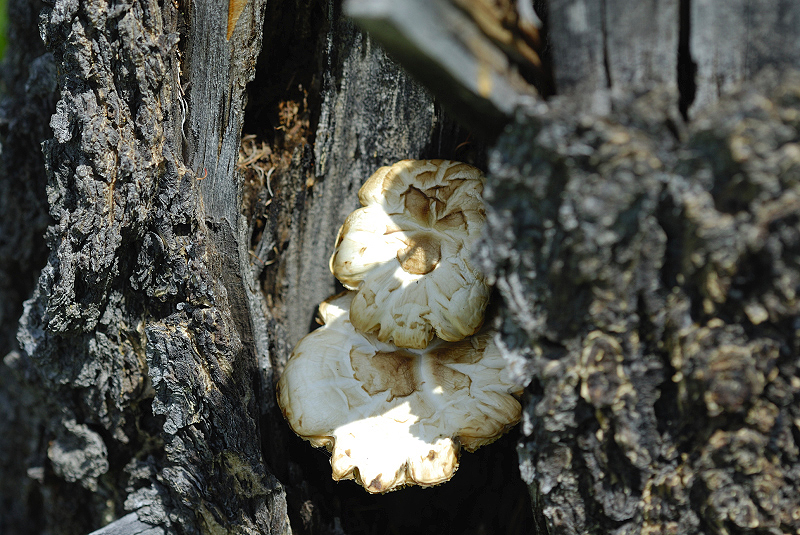 image0315