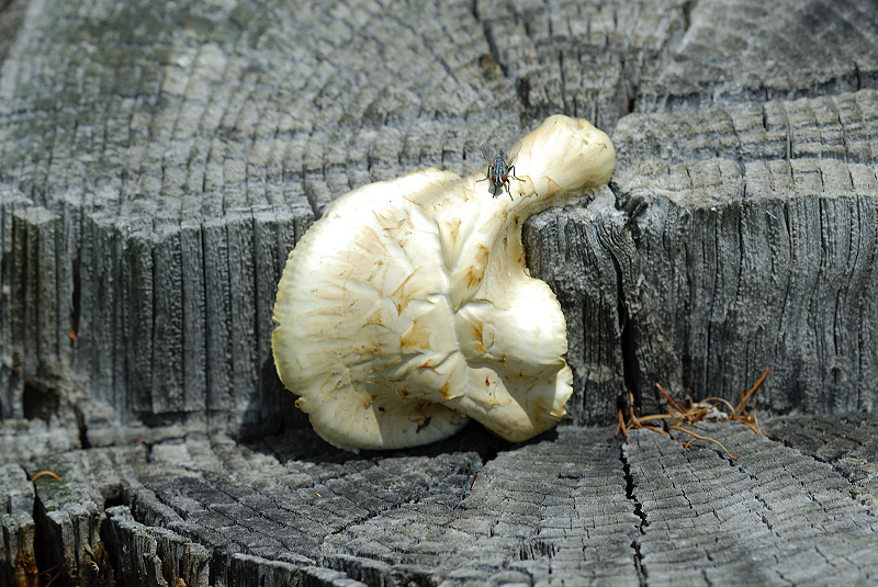 image0317