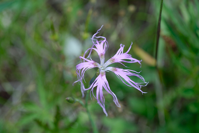 image0318