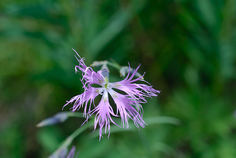image0319