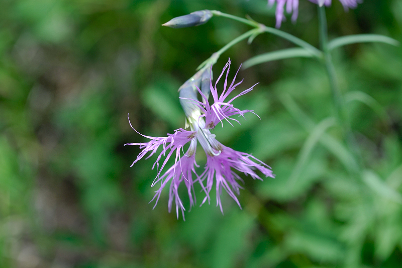 image0320