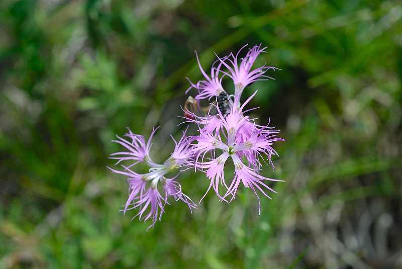 image0322