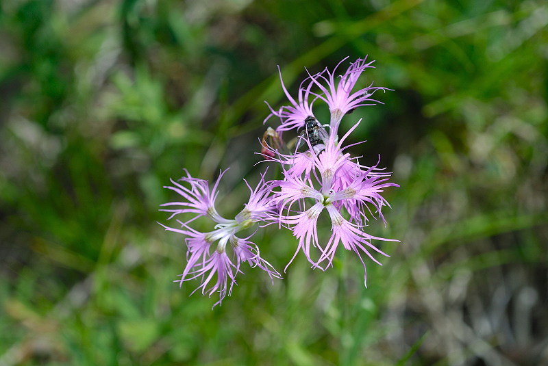 image0323
