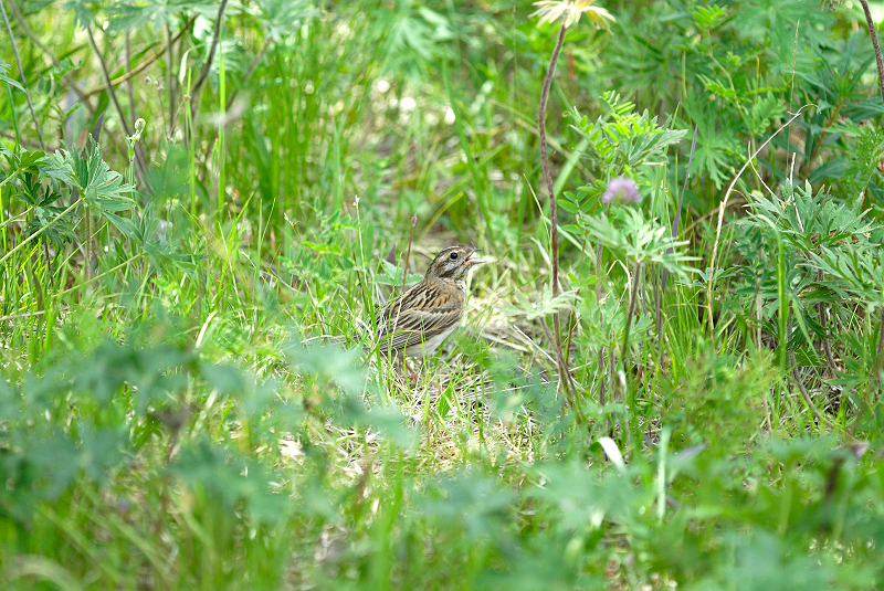 image0324