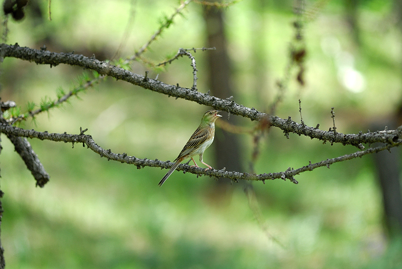 image0325