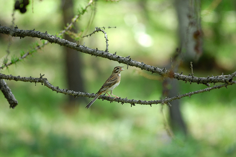 image0326