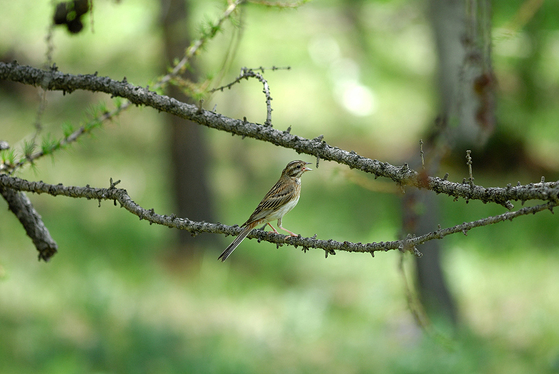 image0327