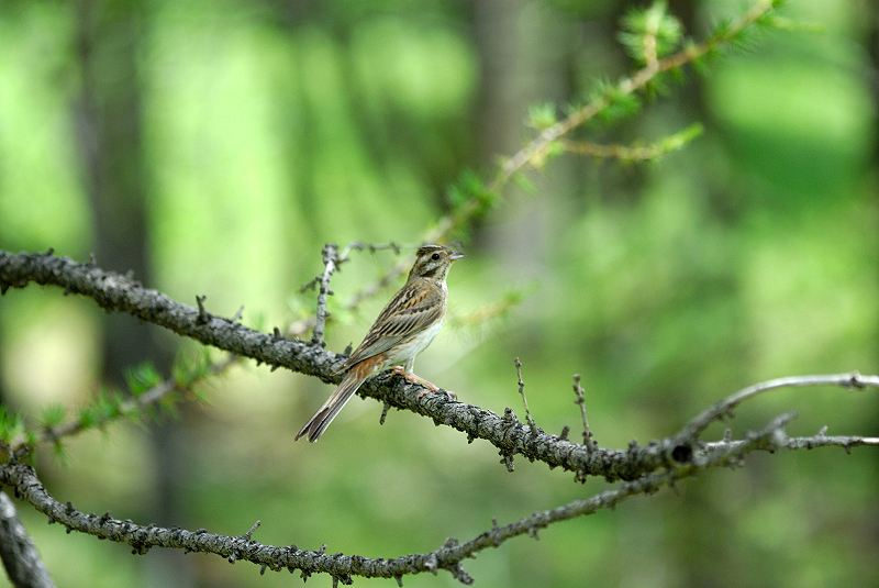 image0328