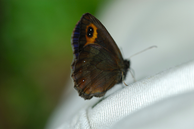 image0330