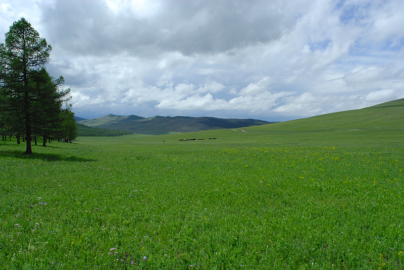 image0332