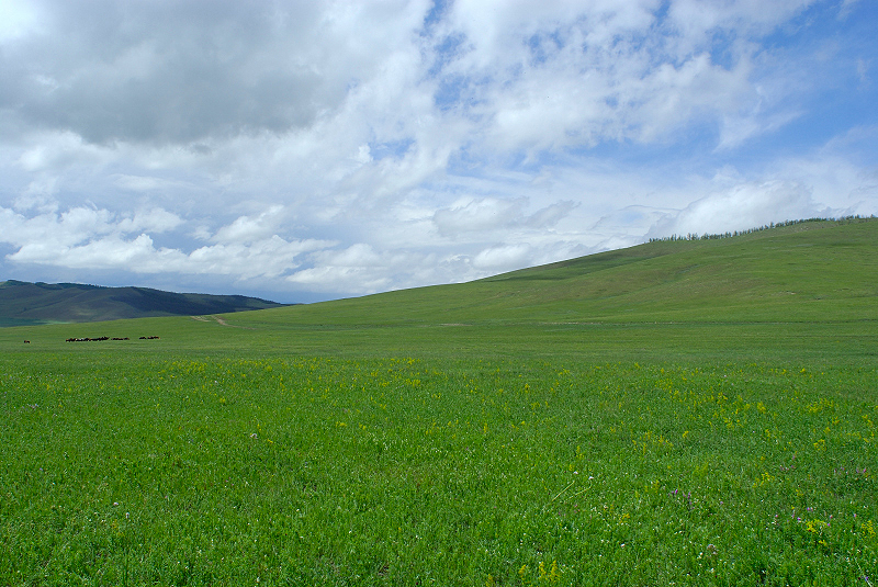 image0333