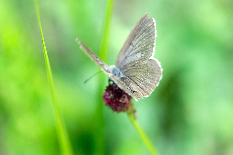 image0345