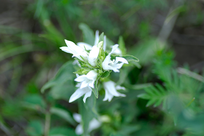image0348