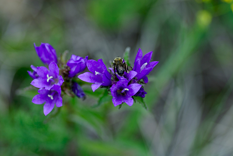image0351