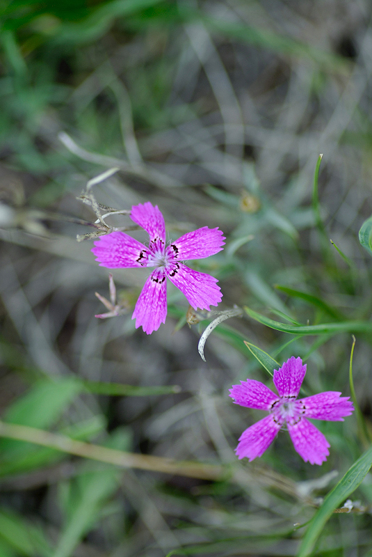 image0352