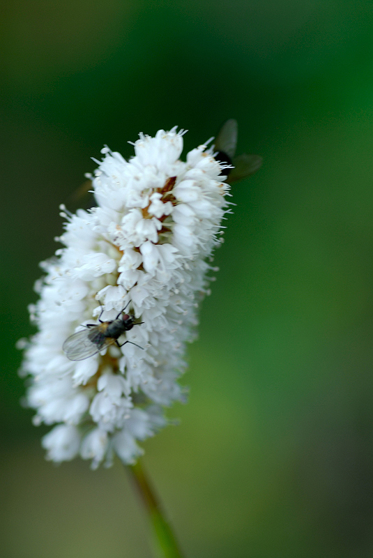 image0353