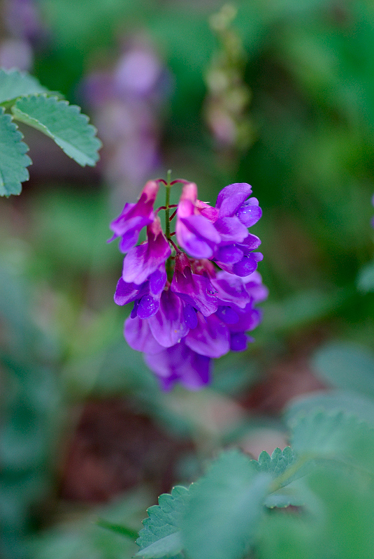 image0356