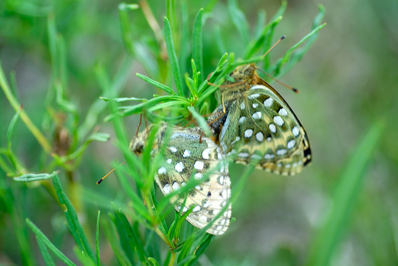 image0358