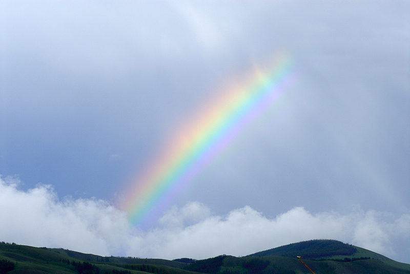 image0361