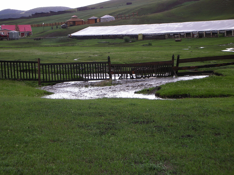 image0367