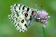 image0128