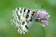 image0129