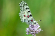 image0130