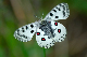 image0132