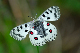 image0133