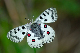 image0134