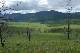 image0137
